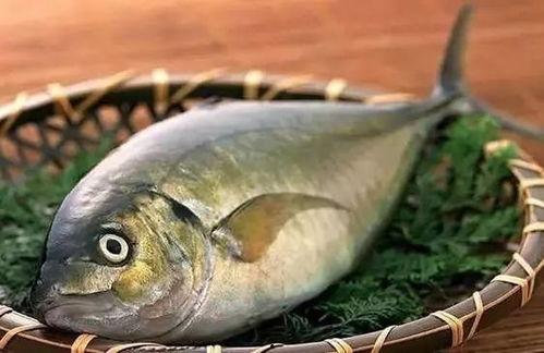 吃瓜的鱼崽子,网络红人的崛起与影响力