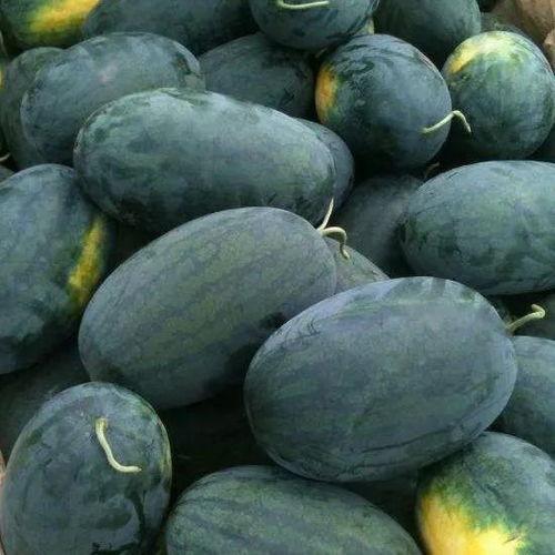 5月吃瓜王,揭秘娱乐圈吃瓜王背后的故事