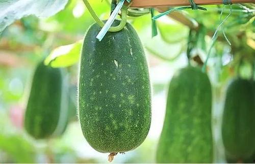 初四吃瓜,揭秘娱乐圈那些不为人知的幕后故事