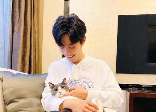 吃杨紫瓜肖战,揭秘娱乐圈的甜蜜瓜葛