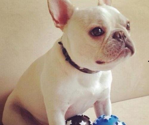 带你吃瓜野生神兽,带你吃瓜野生神兽的神秘世界