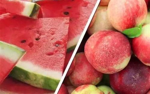 矮瓜不能和什么一起吃,矮瓜饮食禁忌，哪些食物不宜同食