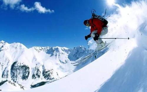 雪域滑雪吃瓜料,吃瓜群众的热议焦点