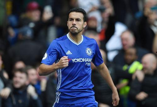 佩德罗吃瓜,揭秘娱乐圈背后的秘密与八卦