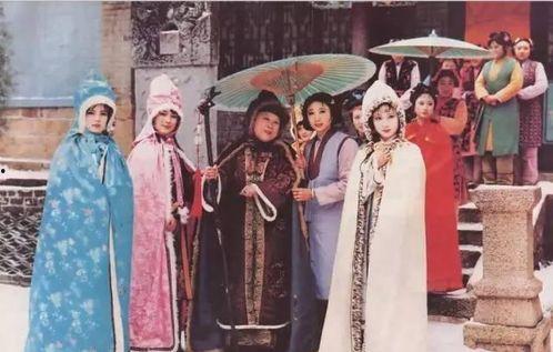 吃瓜侍女后续故事