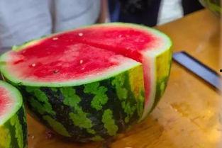 大学吃大瓜蛋糕